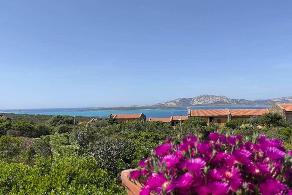 Terrazza Vista Mare Stintino Exterior foto