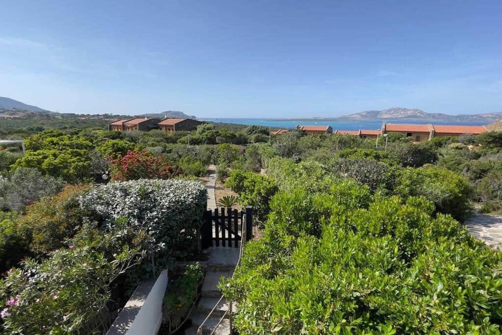 Terrazza Vista Mare Stintino Exterior foto